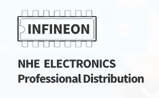 NHE ELECTRONICS, Professional Distribution